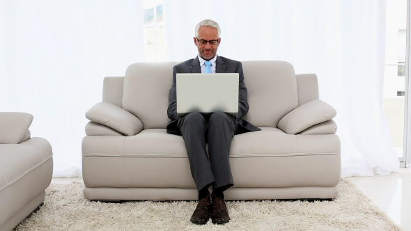 Smiling Businessman Using Laptop On The Couch