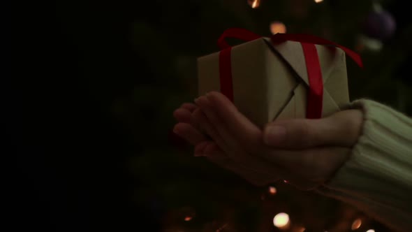 Gift Box In Hand