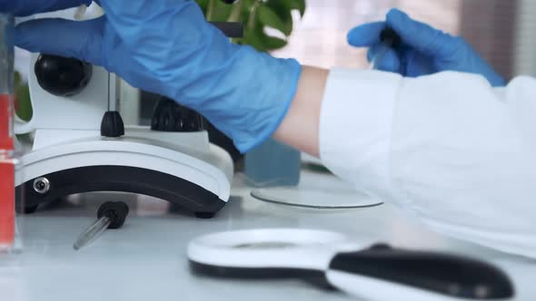 Closeup of Scientist Dropping Liquid with Pipette on Petri Dish and Then Examining It Under