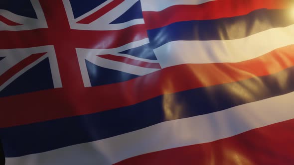 Hawaii State Flag