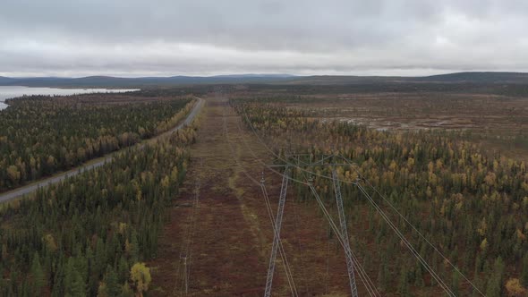 Power Lines In Nature