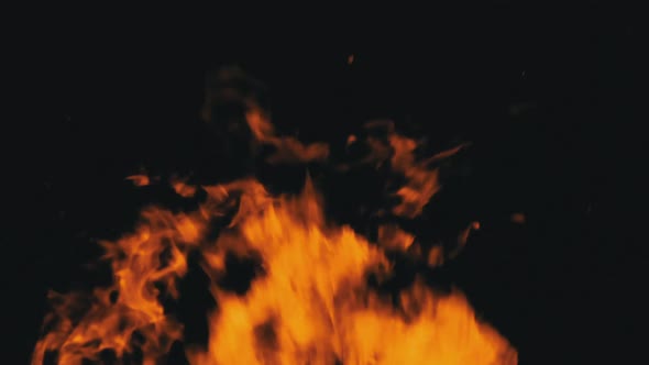 Fire Flames on a Black Background in Slow Motion Bonfire Burning at Night