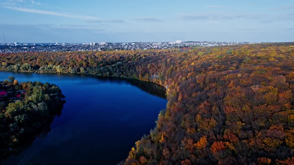 Autumn Forest Scenery Drone Footage