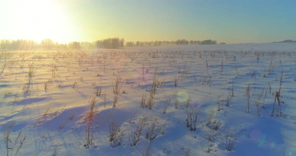 Aerial Drone View of Cold Winter Landscape with Arctic Field Trees Covered with Frost Snow and