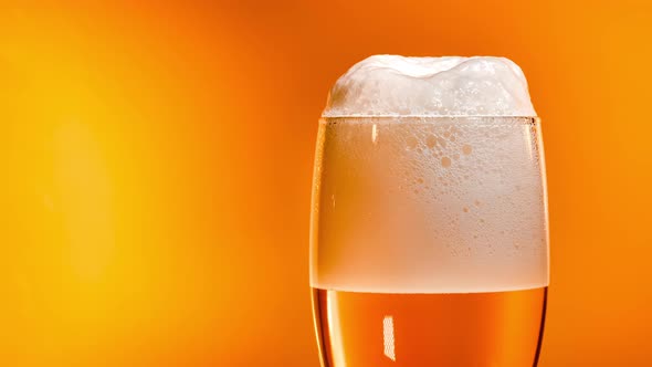 Lager Beer Settles in the Glass with a White Cap of Foam