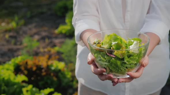 Slender Woman Holds a Bowl with Fresh Lettuce Leaves