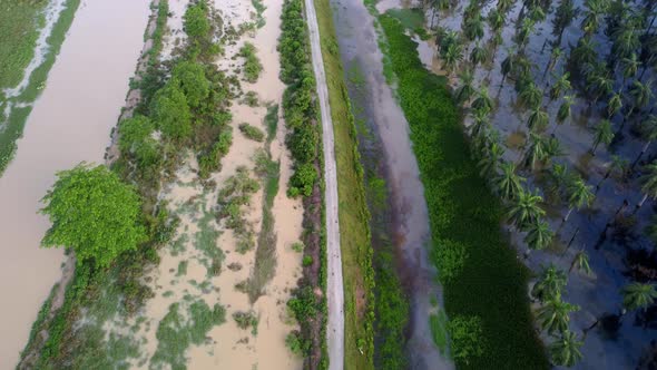 River is over flow to the nearby oil palm plantation / Videohive