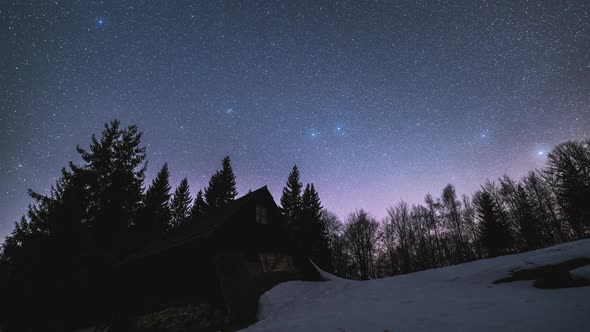 Astronomy Time Sarry Night Sky Stars Forest Nature