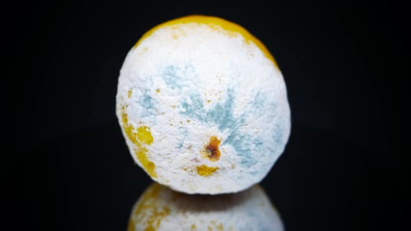 Rotting Lemon With Mold On The Other Side Rotating On Black Surface - close up, studio shot
