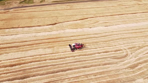  Aerial View Harvesting of Ripe Grain Crops. Red Harvester Goes on a Wheat Field