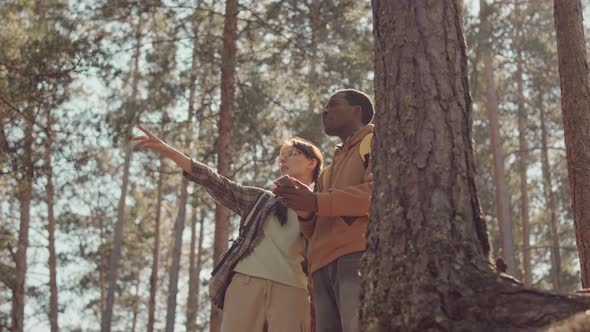 Diverse Couple Using Navigator App while Hiking in Forest