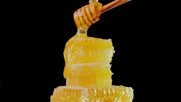 The Honeycombs with Fresh Honey Rotate Slowly