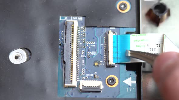 Connecting a Flex Cable to the Laptop Motherboard with Tweezers Laptop Repair in a Service Center