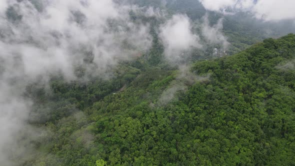 Aerial drone view of mist tropical rainforest in valley, Indonesia.