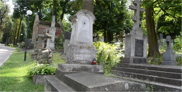 Cemetery 44