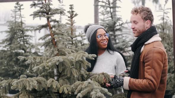 Cheerful Multiracial Couple Shop for the Perfect Christmas Tree