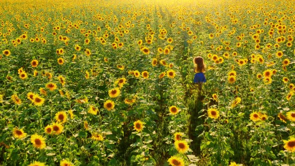 Girl Runs on a Field of Sunflowers at Sunset