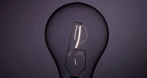 Light Bulb 