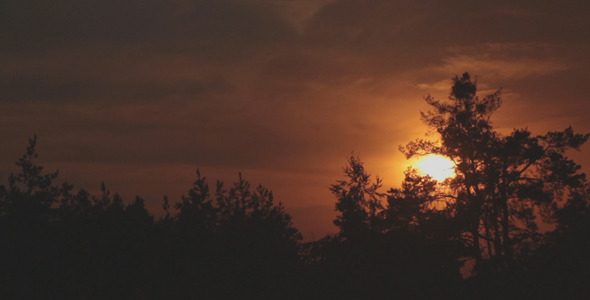 Beautiful Orange Sunset