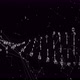 Dna Code With Numbers 03 - VideoHive Item for Sale