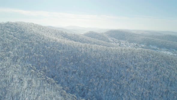 Aerial Winter Mountain Landscape of a Frozen Forest with Snow and Ice Covered Trees on a Sunny