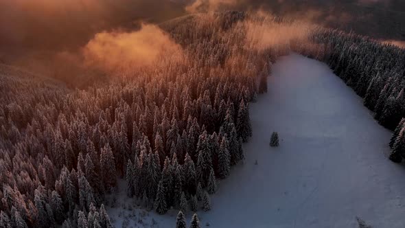 Aerial Flying Above Winter Forest in Mountain Valley at Sunset