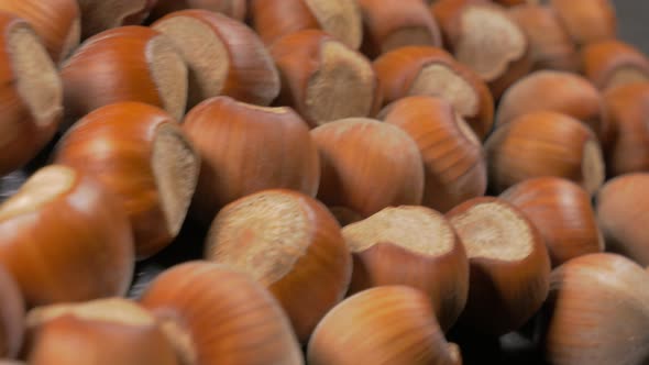 Hazelnut filberts on wooden table close-up dolly filmed 4K 3840X2160 UHD footage - Corylus avellana 