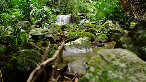 Tracking shot of a waterfall in the jungle.