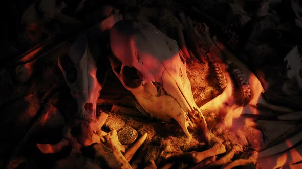 Caveman Skulls And Tools In Fire Survival Concept