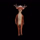 Christmas Deer Walking - VideoHive Item for Sale