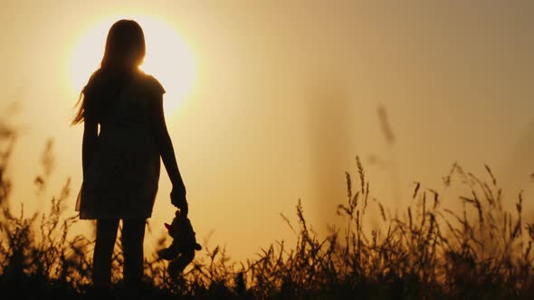 Silhouette of a Girl with Balloons and a Teddy Bear