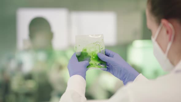 Woman Examining Extracted Plant Sap For Bacteria Analysis In A BioLab. close up