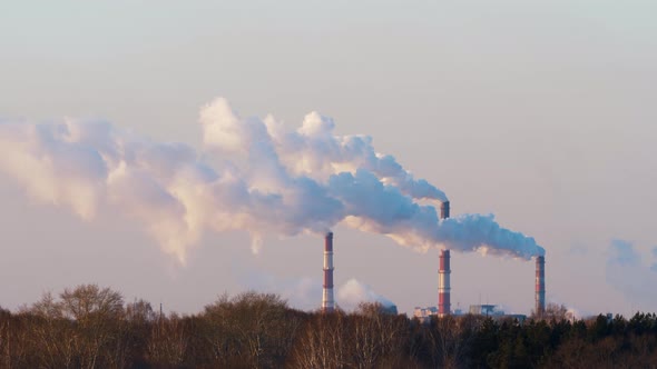 Smoke Emissions to Atmosphere Above Treetops