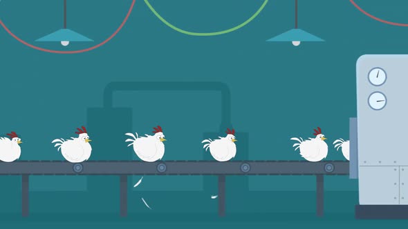 Simple, schematic, colorful 2d animation of chicken processing factory. 4KHD