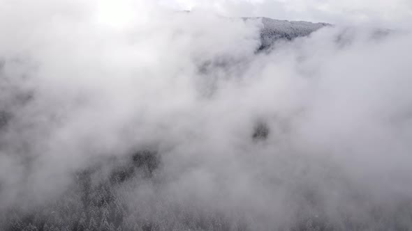 Flying over snow covered forest in Oregon