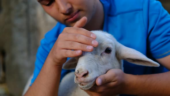 Shepherd Looking After Lamb