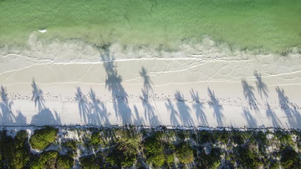 Empty Beach on Zanzibar Island Tanzania Slow Motion