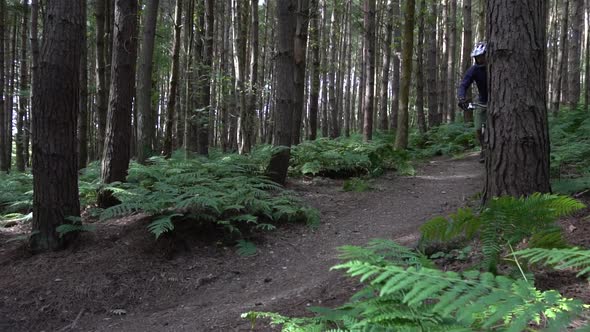 A mountain biker rides on a singletrack trail