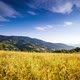 The Sun Over the Synevir Pass of the Carpathian Mountain Ranges - VideoHive Item for Sale