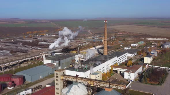 Plant for the Production of Sugar From Sugar Beets