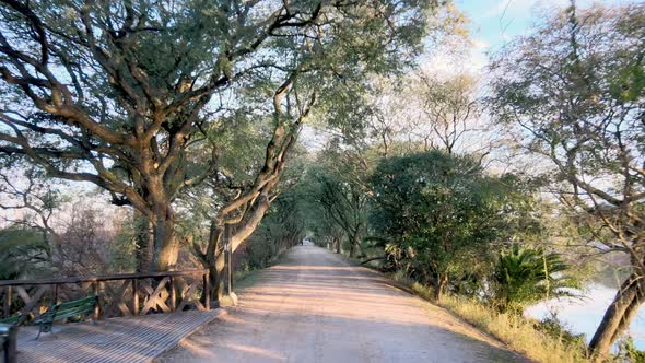 A Peaceful Entrance to the Costanera Sur Ecological Reserve in Puerto Madero with Overhanging Trees