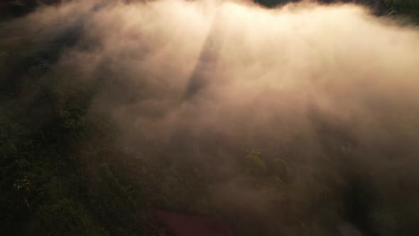 4K Aerial view of the misty sunrise in the forest.