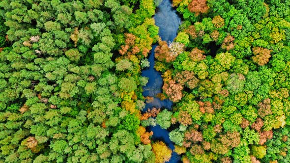 Top view of colorful autumn forest and winding river, Poland