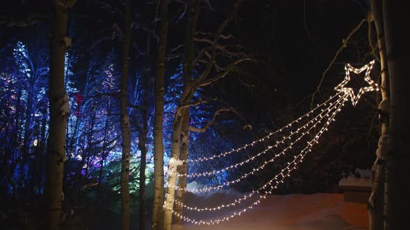 Merry Christmas and Happy New Year Winter Background Night Illumination Aspen