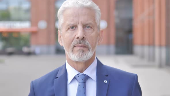 Outdoor Portrait of Serious Old Businessman