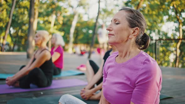 Peaceful Senior Woman Meditating Outdoor Practicing Yoga with Group of Mature Friends Tracking Shot