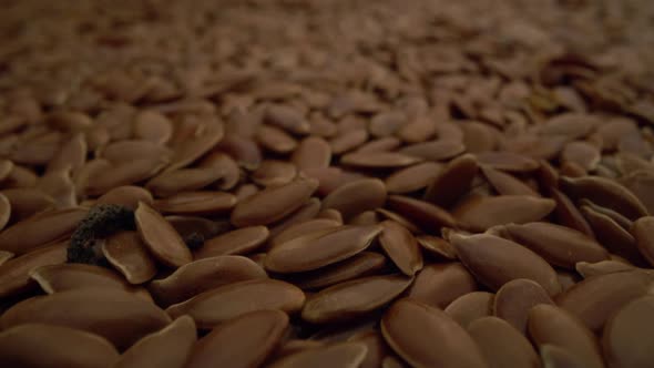 Seed of Flax Is Closeup Motion Background