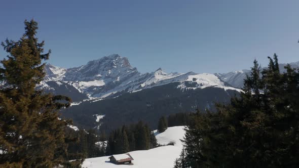 Drone flying between pine trees and revealing a beautiful snow covered valley