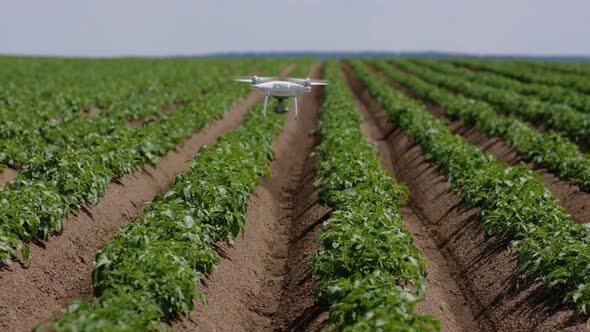 Flying Smart Agriculture Drone