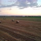 Field with straw at sunset, 4k drone. - VideoHive Item for Sale